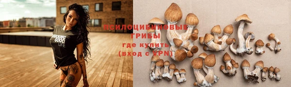 шишки Нефтегорск