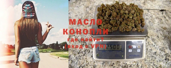 дмт Новодвинск