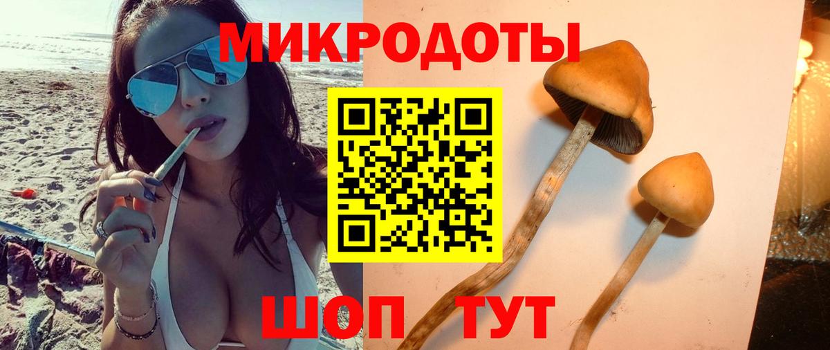 Галлюциногенные грибы ЛСД  Вход с VPN  магазин продажи   Удомля 