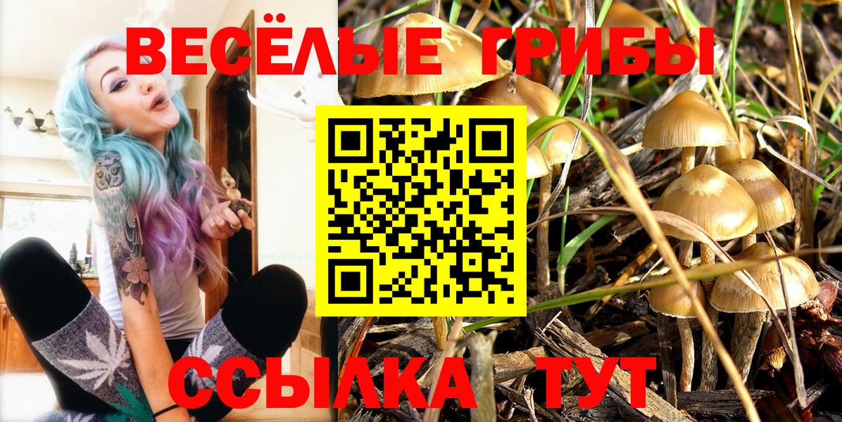 Галлюциногенные грибы мухоморы Удомля